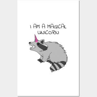 Racoon Unicorn Posters and Art